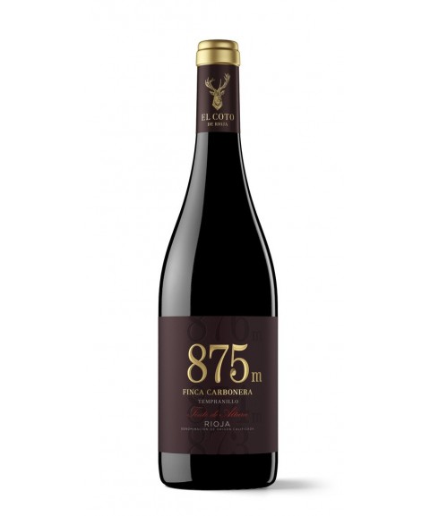 875 Tinto